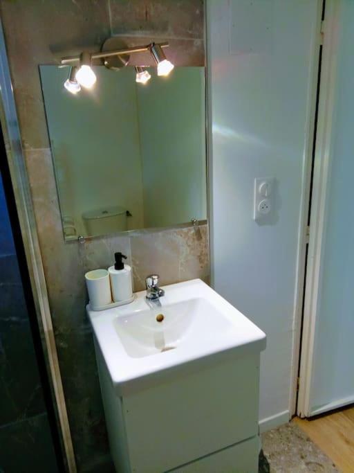 Charmant Loft Avec Jardin Pres Du Centre Ville Amboise Ngoại thất bức ảnh