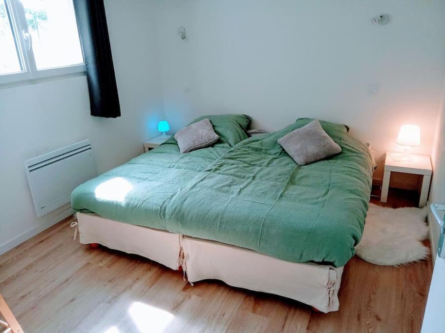 Charmant Loft Avec Jardin Pres Du Centre Ville Amboise Ngoại thất bức ảnh